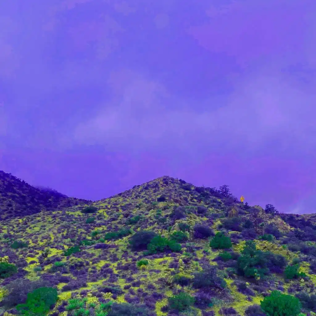 Catch You In My Corner