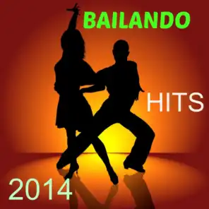 Bailando Hits 2014