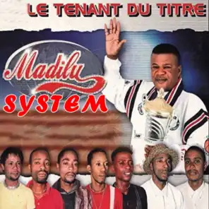 Madilu System
