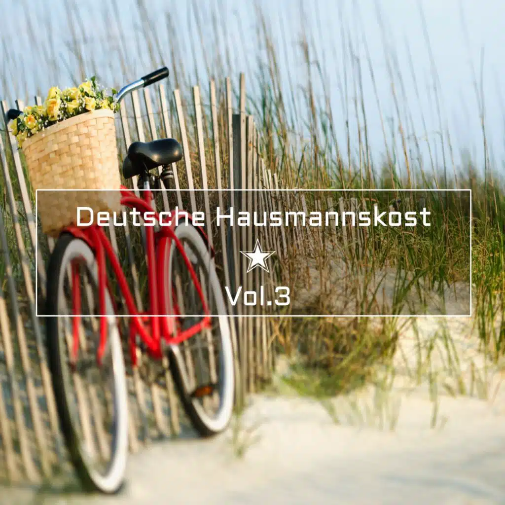 Deutsche Hausmannskost Vol.3