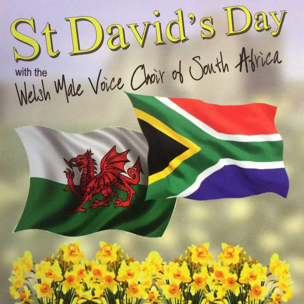 St David's Day