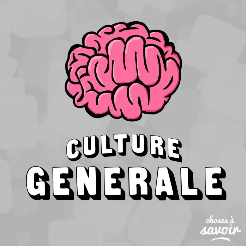 Le riz cantonnais est-il réellement né à Canton&nbsp;?