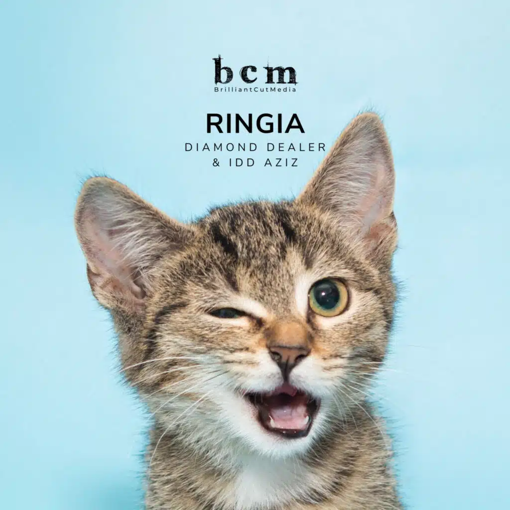 Diamond Dealer & Idd Aziz