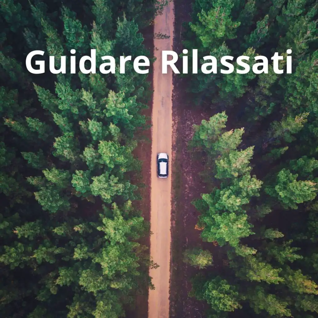 Guidare Rilassati