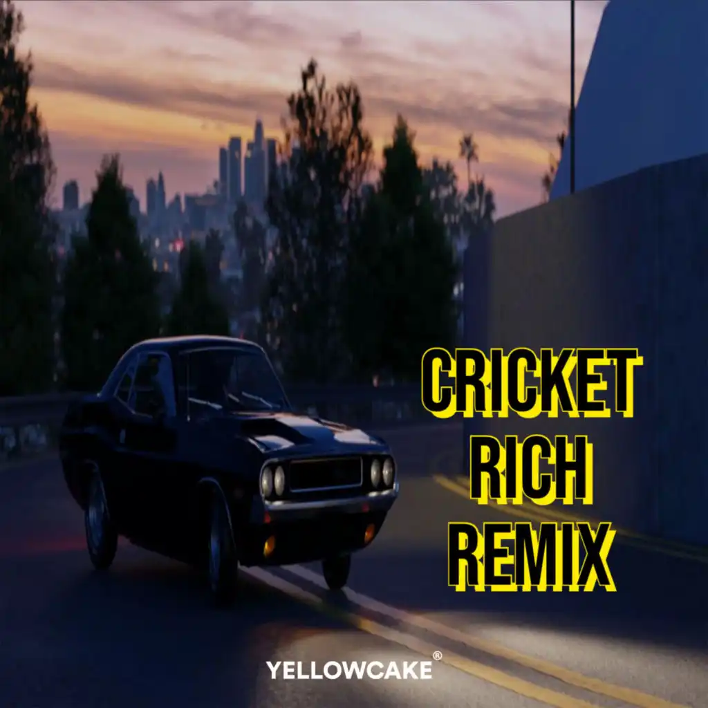 Rich (Cricket Remix)