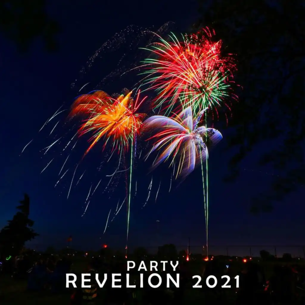 Party de Revelion 2021