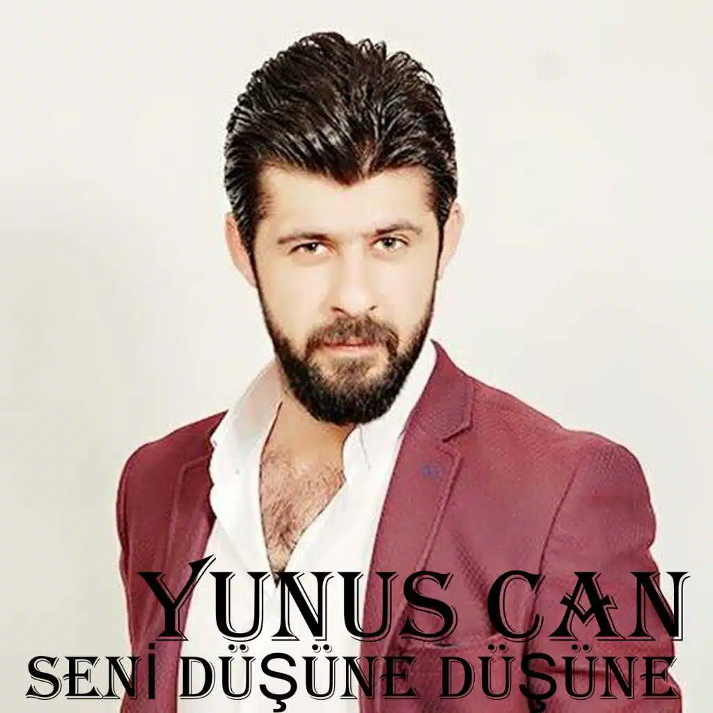 Seni Düşüne Düşüne