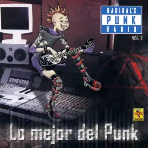 Radikal´s Punk Radio, Vol. 2