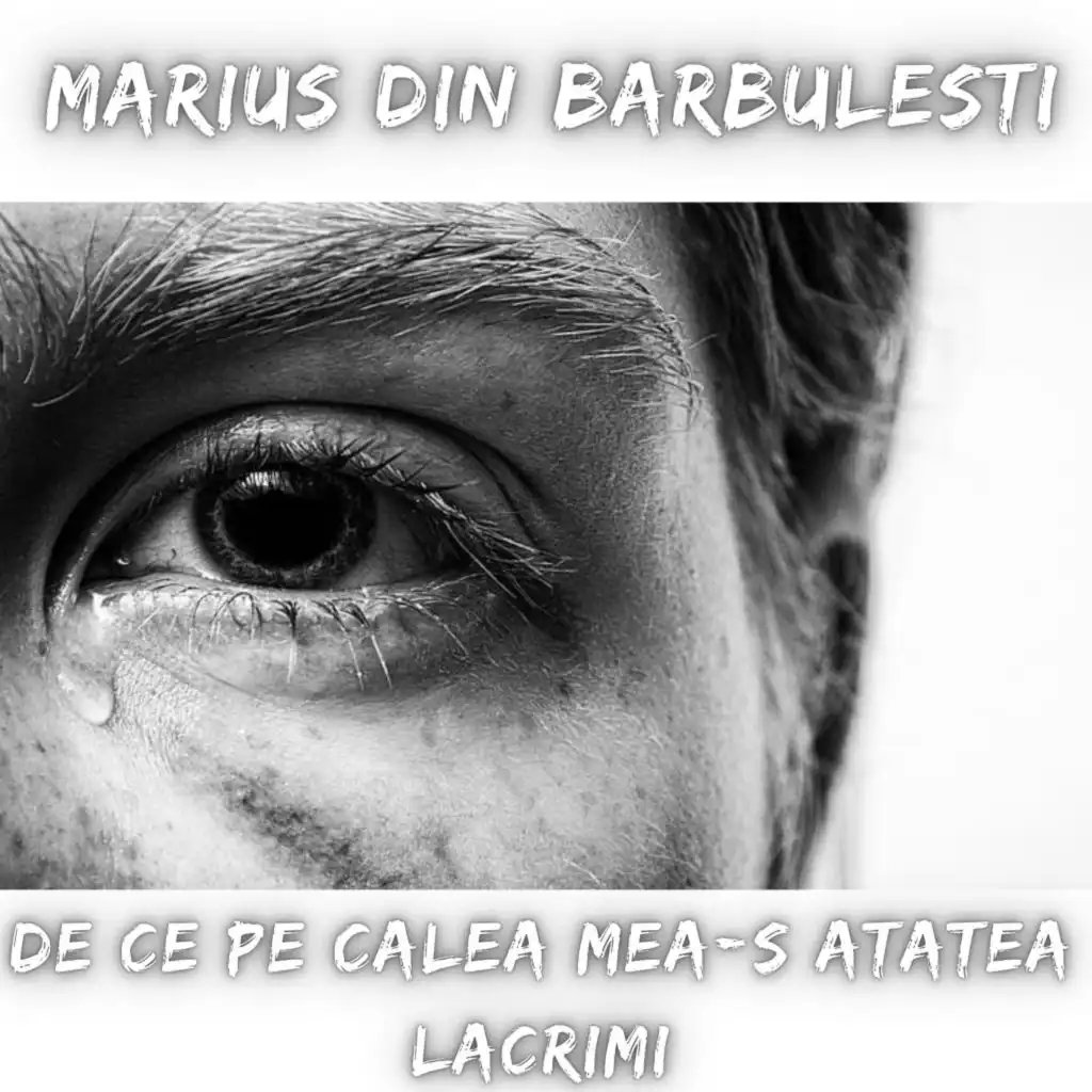 Marius din Barbulesti