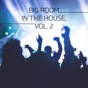 Big Room in the House, Vol. 2
