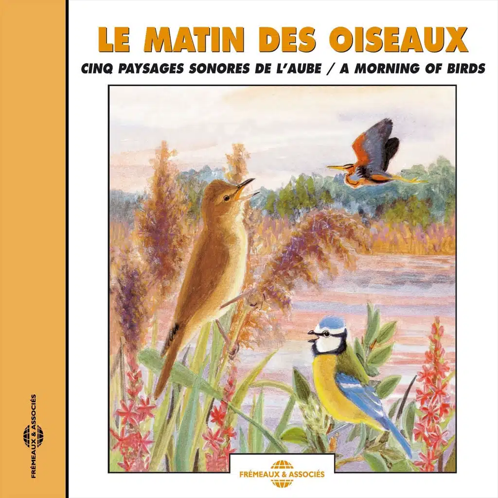 Le matin des oiseaux - A Morning of Birds (Cinq paysages sonores de l'aube)