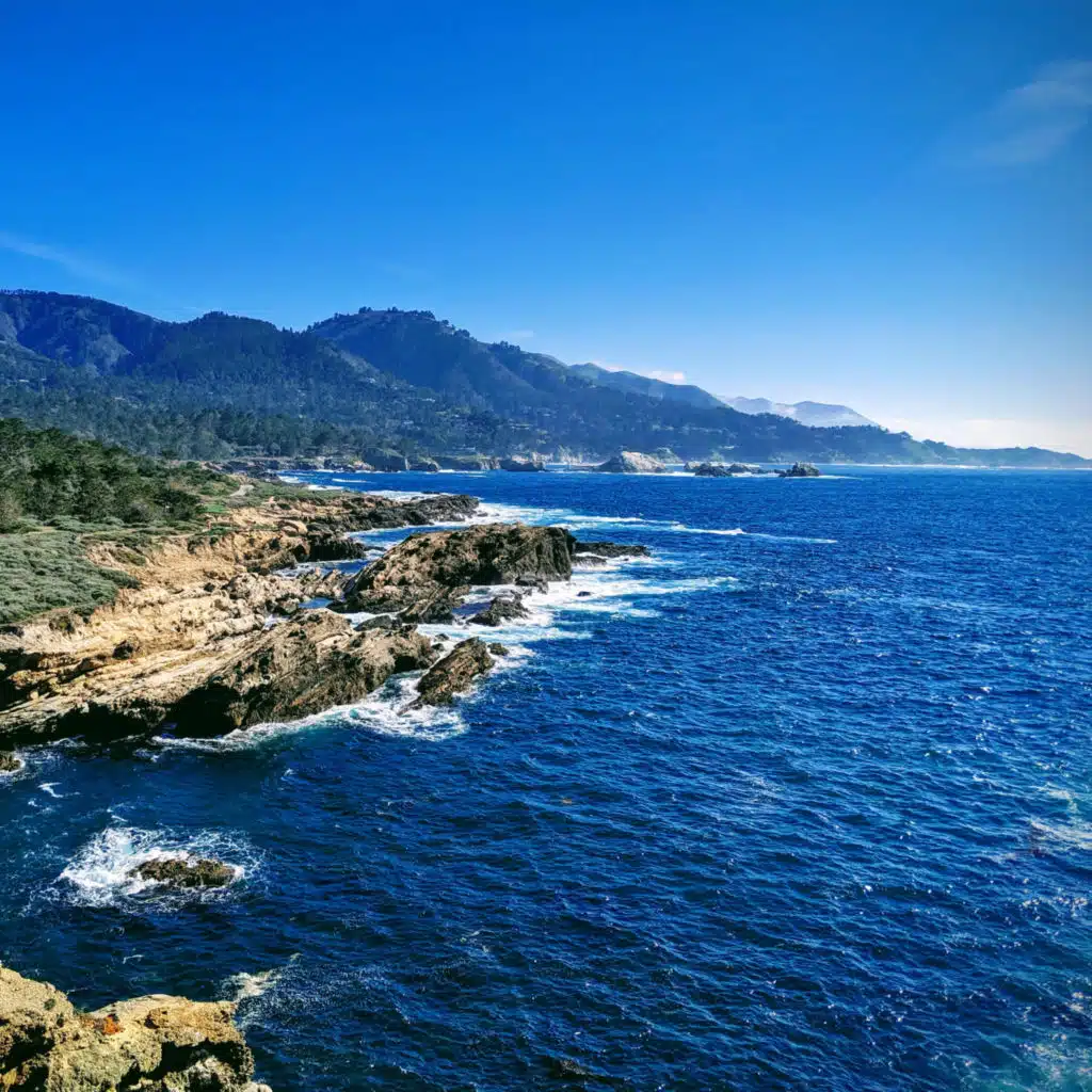 Scotch the Filmmaker