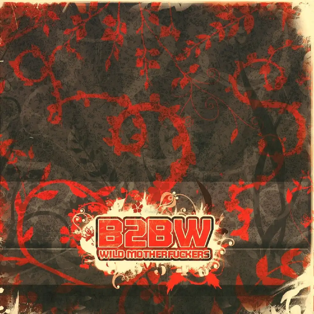 B2bw (Born Mix)