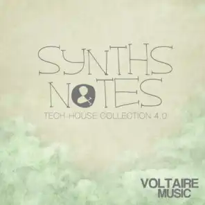 Synths and Notes 4.0 (Tech House Collection)