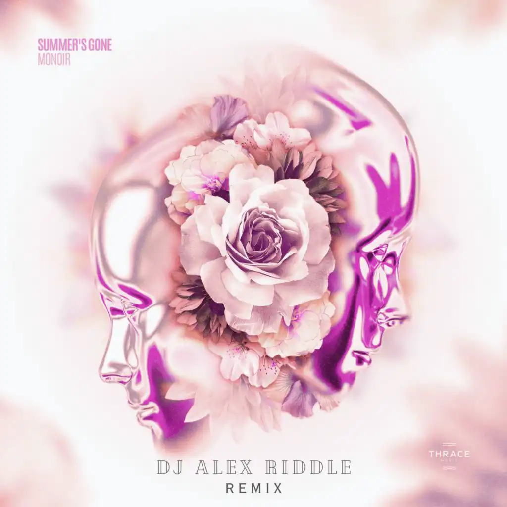 Summer's Gone (DJ Alex Riddle Remix)