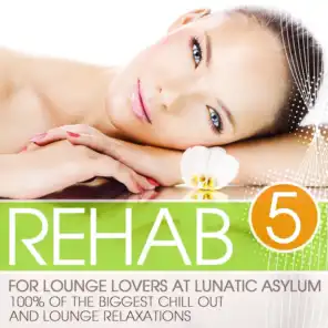 Rehab for Lounge Lovers At Lunatic Asylum, Vol. 5 (100% of the Biggest Chill Out and Lounge Relaxations)