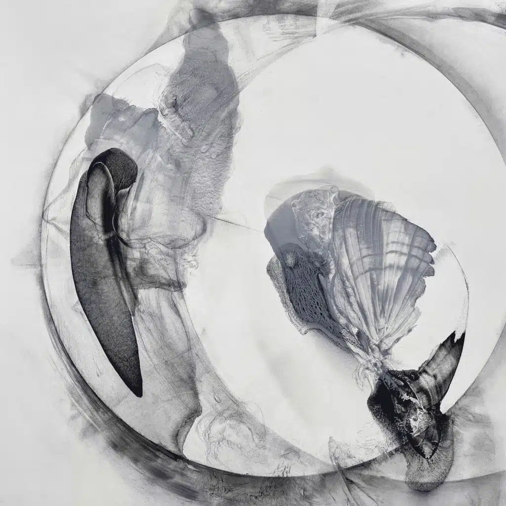 Refractions (Remixed)