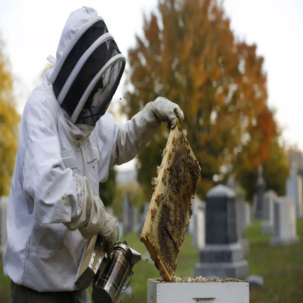 Bee populations, Pasta salad, Abortion politics