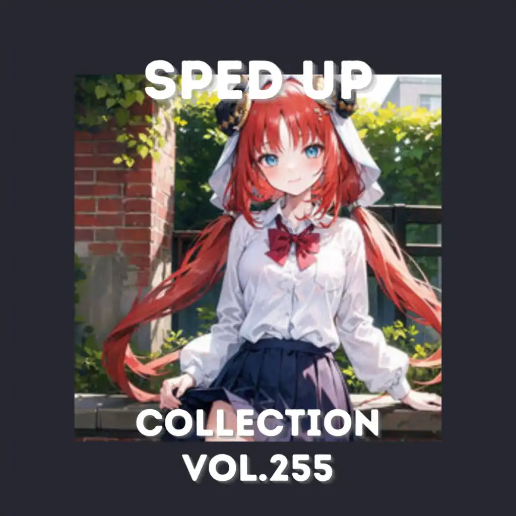 Sped Up Collection Vol.255