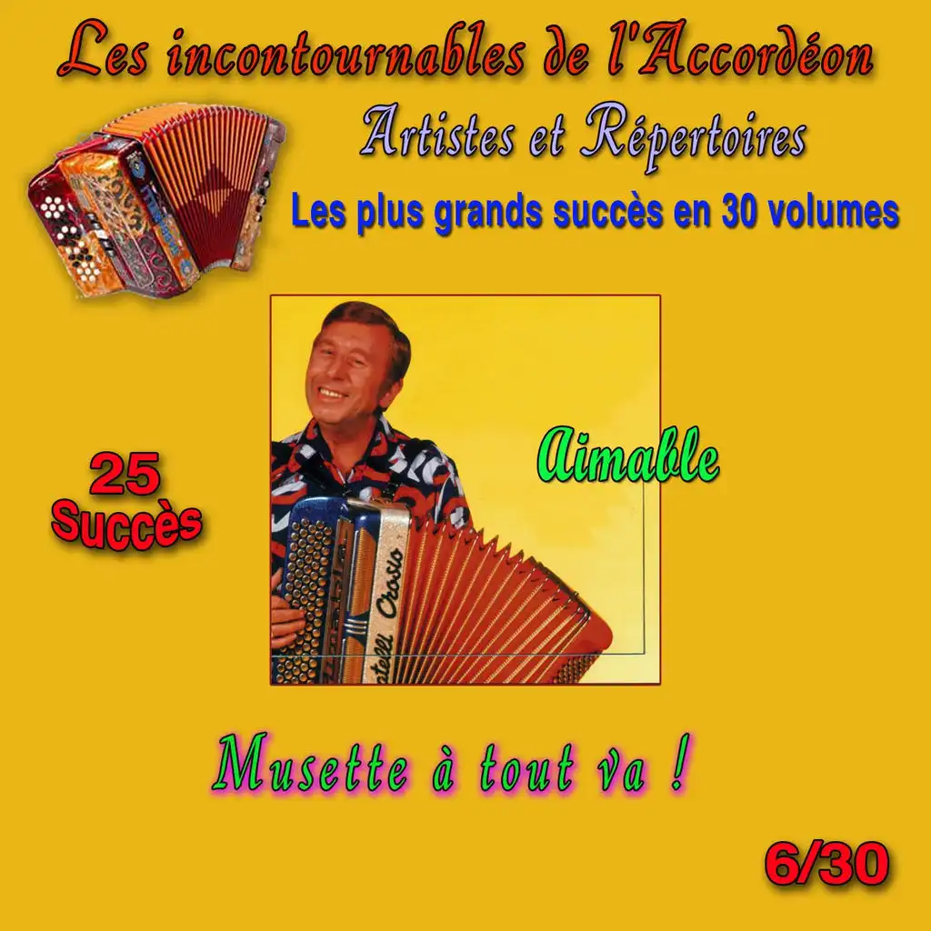 Les incontournables de l'accordéon, vol. 6 (Musette à tout va !) [25 succès]