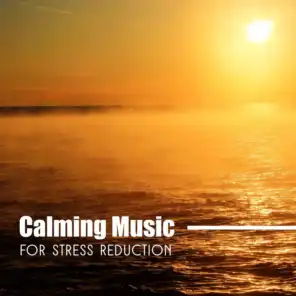 Calming Music for Stress Reduction