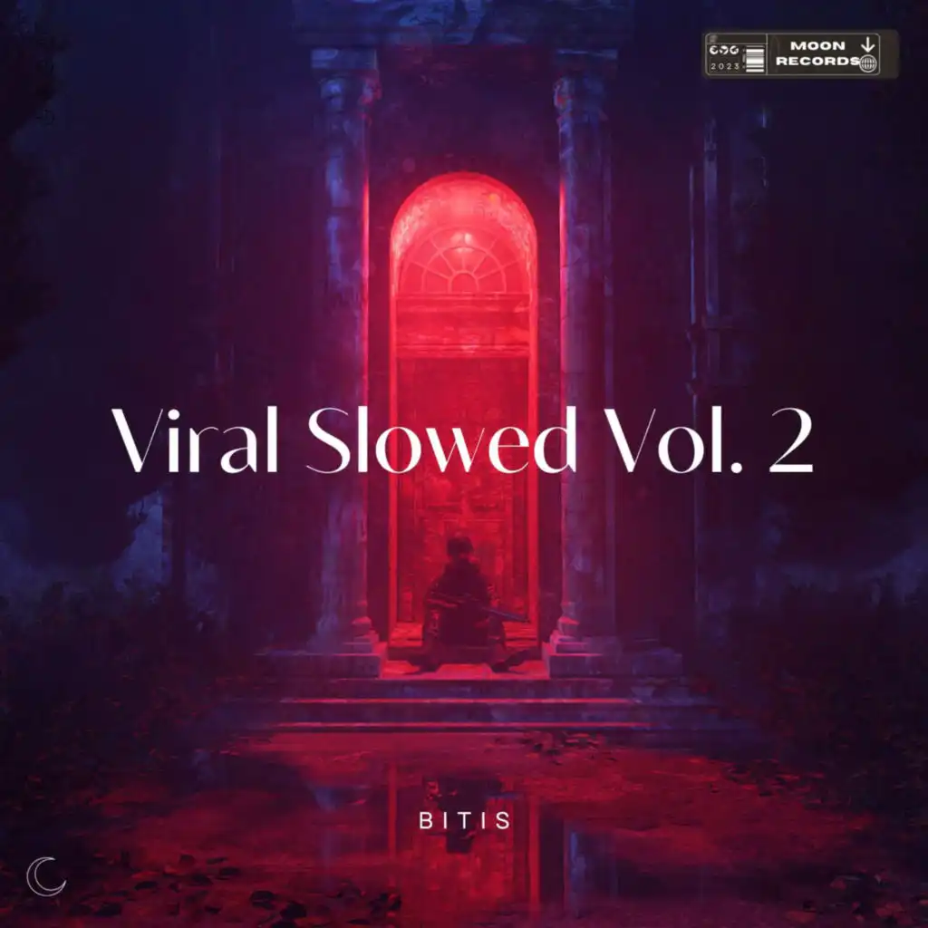 Viral Slowed Vol. 2