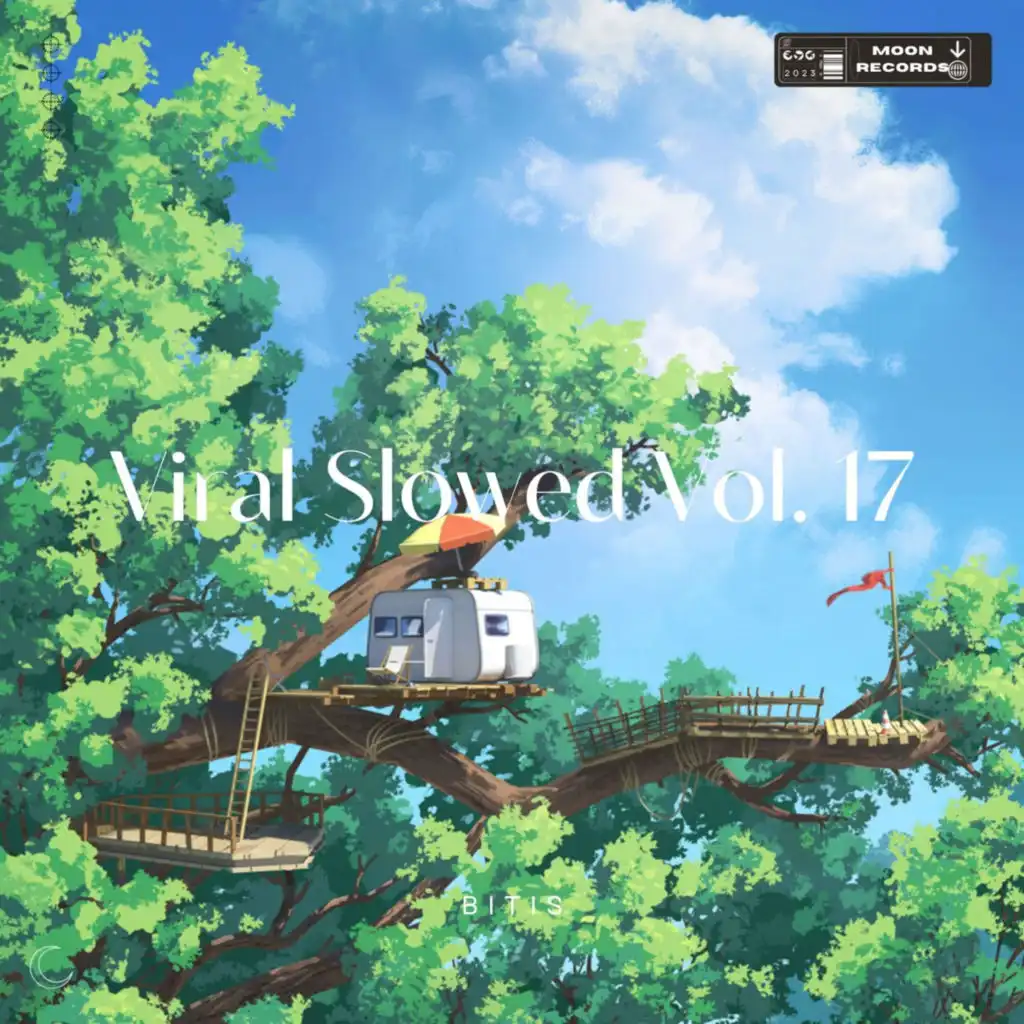 Viral Slowed Vol. 17