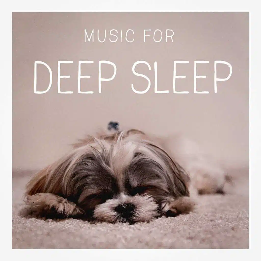 Relax Meditate Sleep, Music For Absolute Sleep, Easy Sleep Music