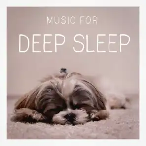 Relax Meditate Sleep, Music For Absolute Sleep, Easy Sleep Music
