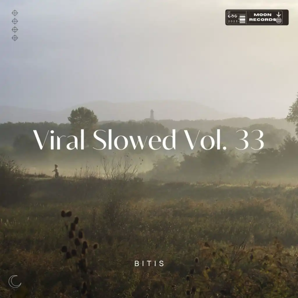 Viral Slowed Vol. 33