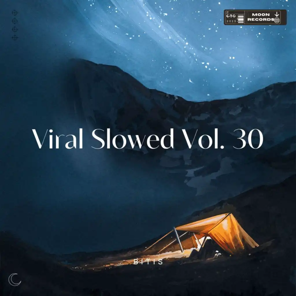 Viral Slowed Vol. 30