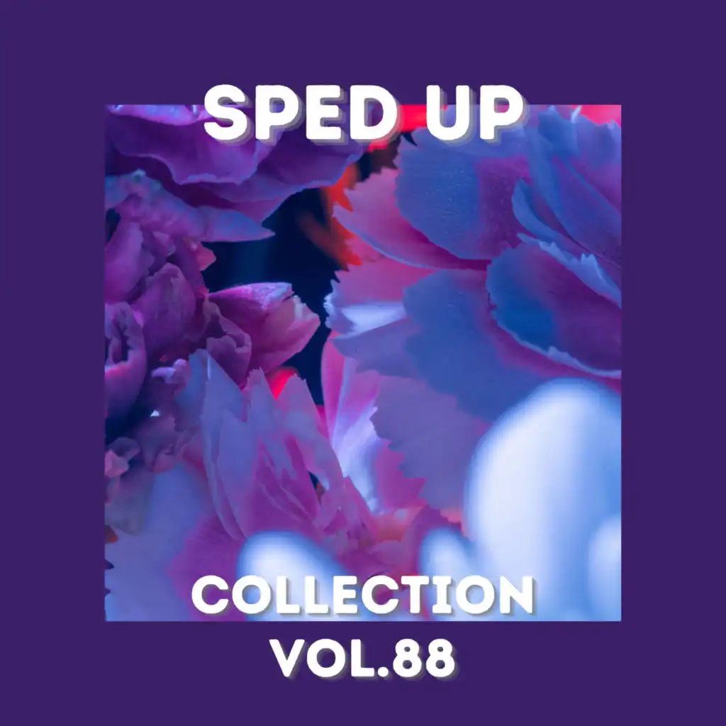 Sped Up Collection Vol.88 (sped up)