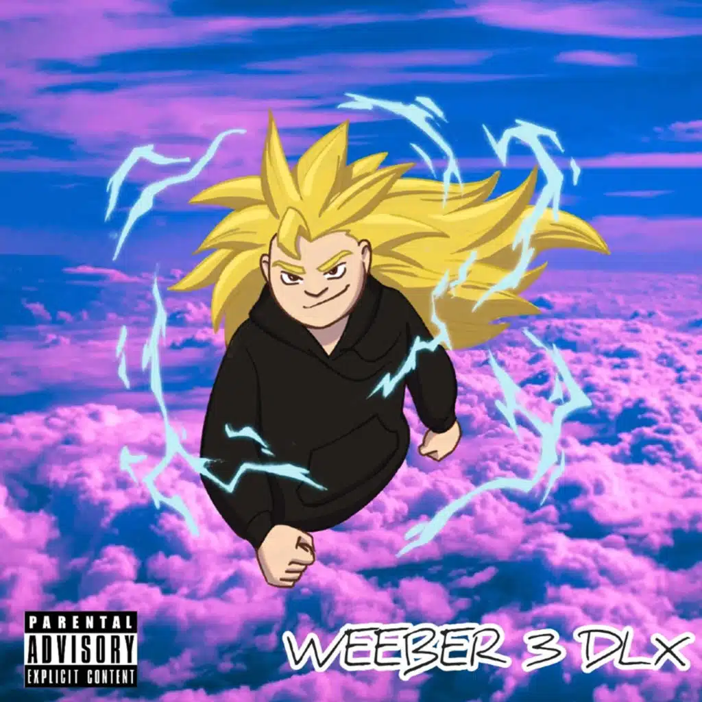 Weeber 3 DLX
