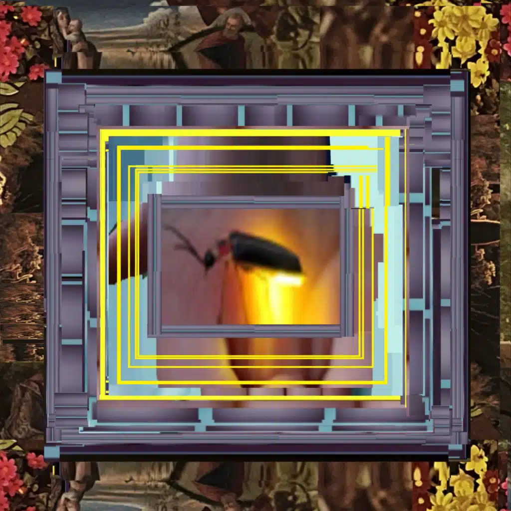 Where Did the Lightning Bugs Go?