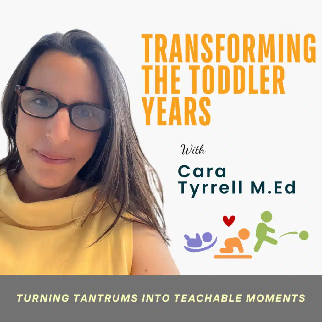 Transforming The Toddler Years- Parents and Educators Raising Calm, Connected, Capable Kids