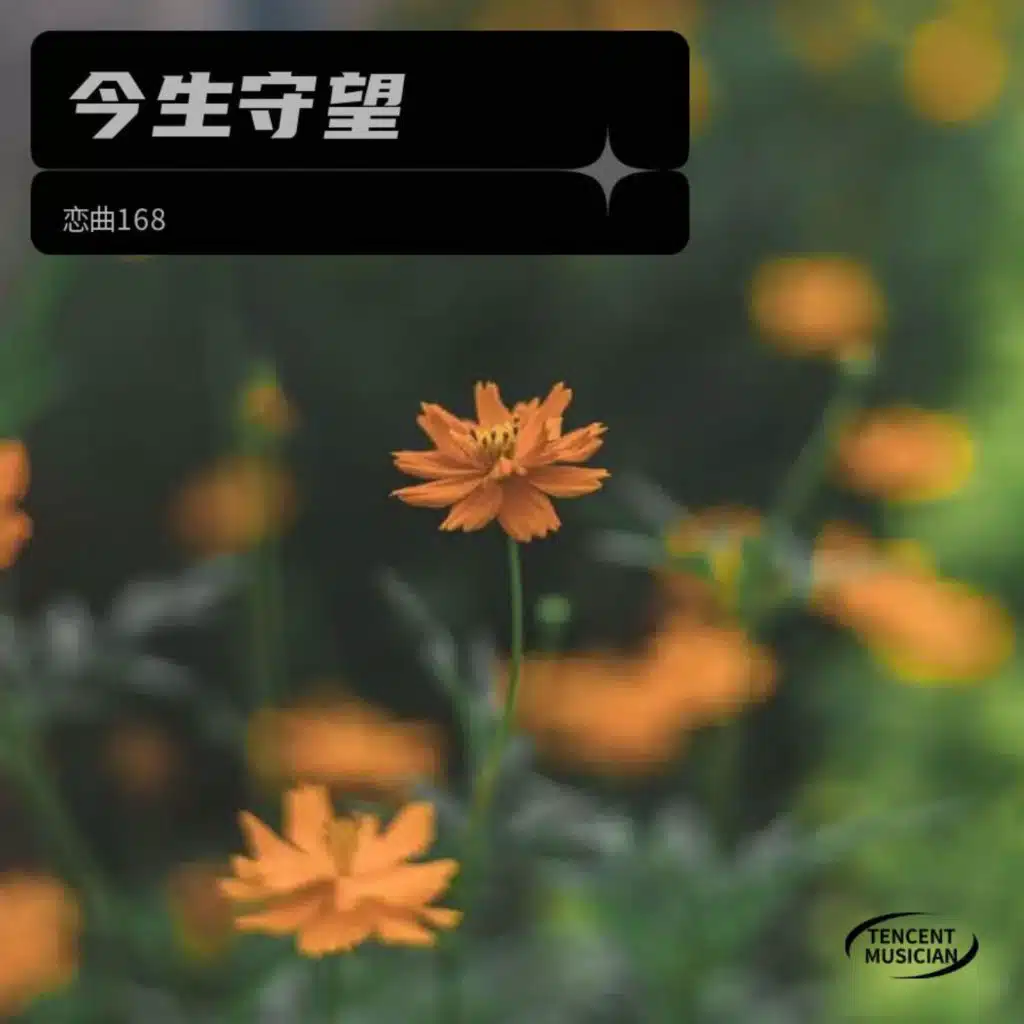 恋曲168