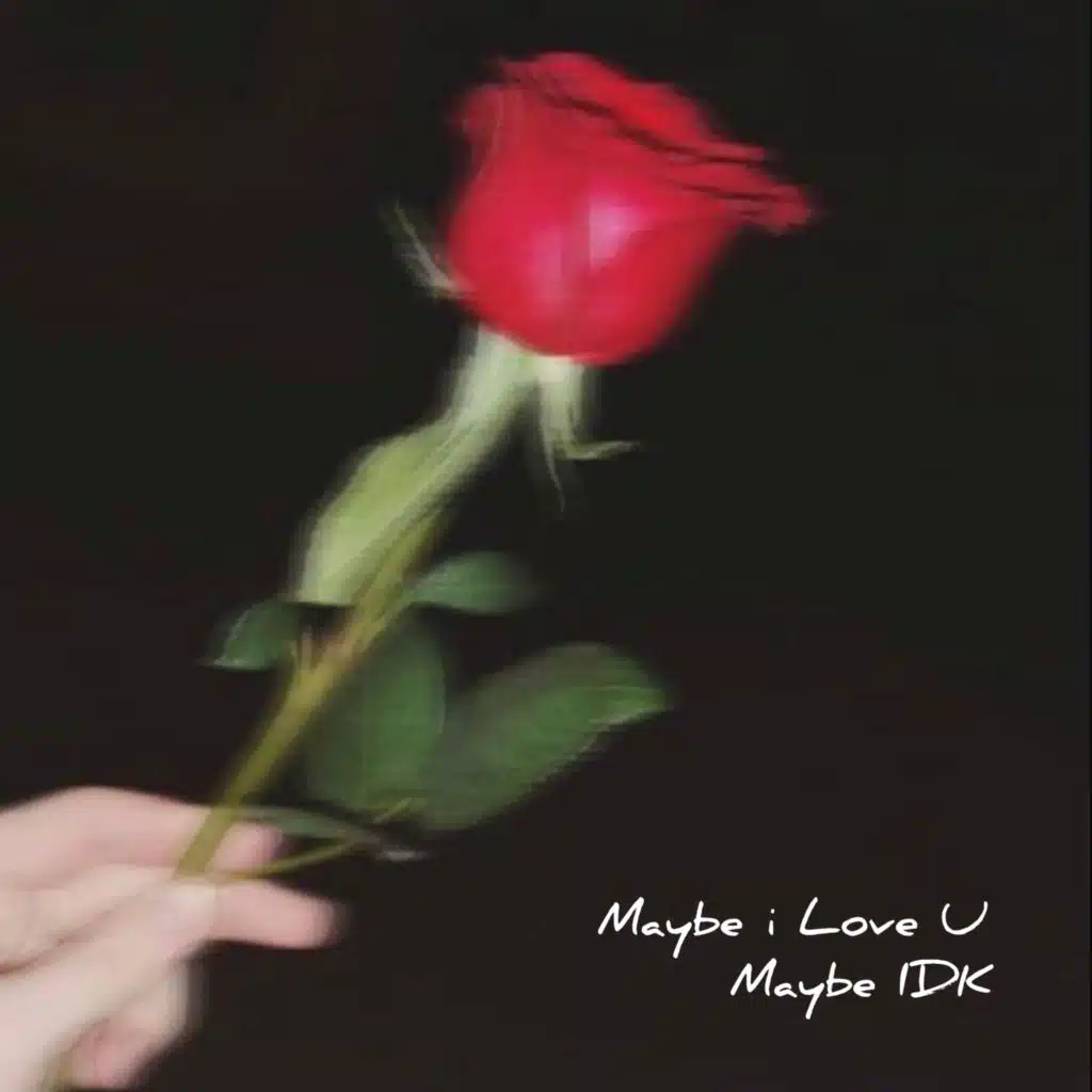 Maybe I Love U Maybe IDK