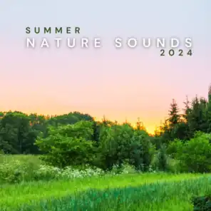 Relaxing Nature Sounds Collection