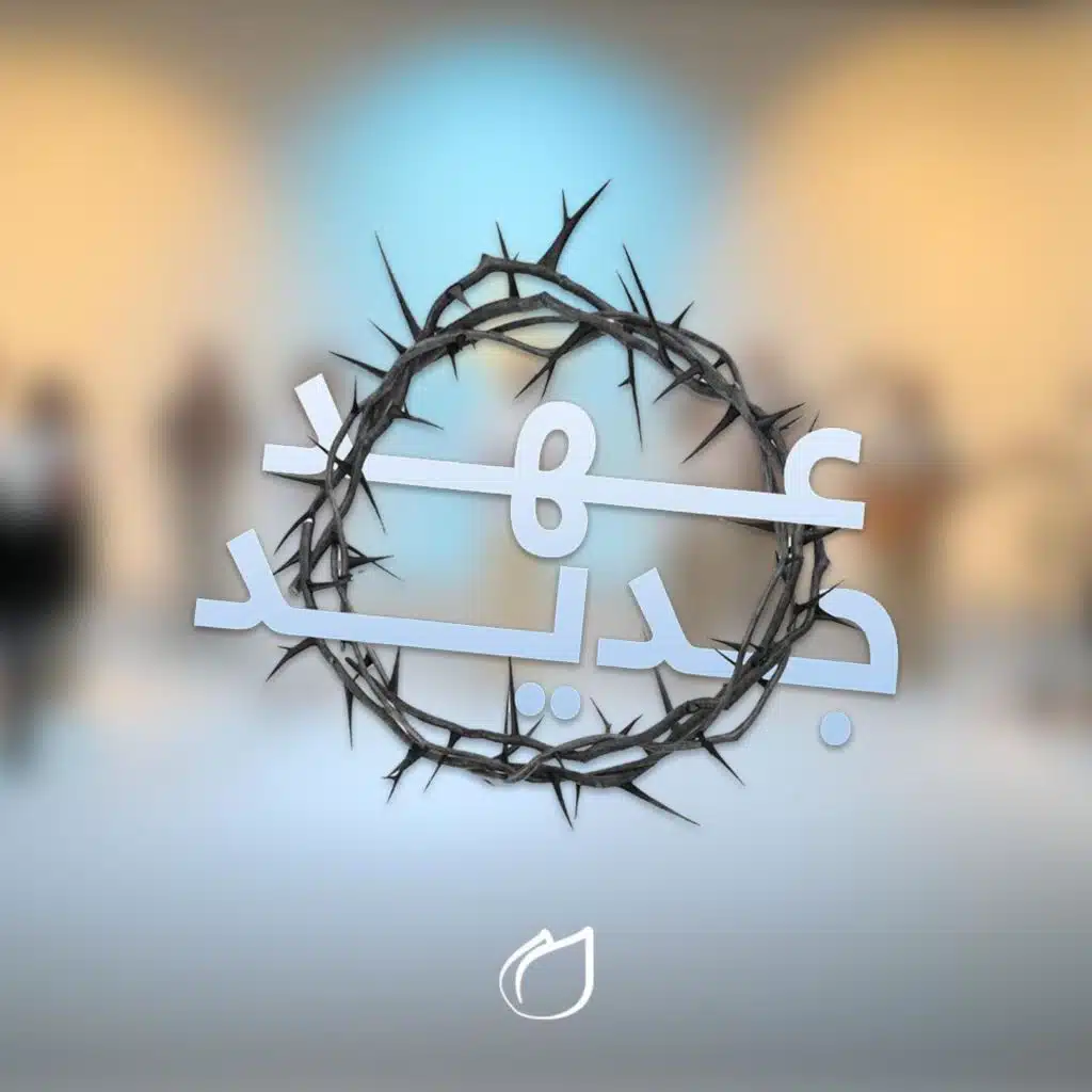 هل جلست في هدوء