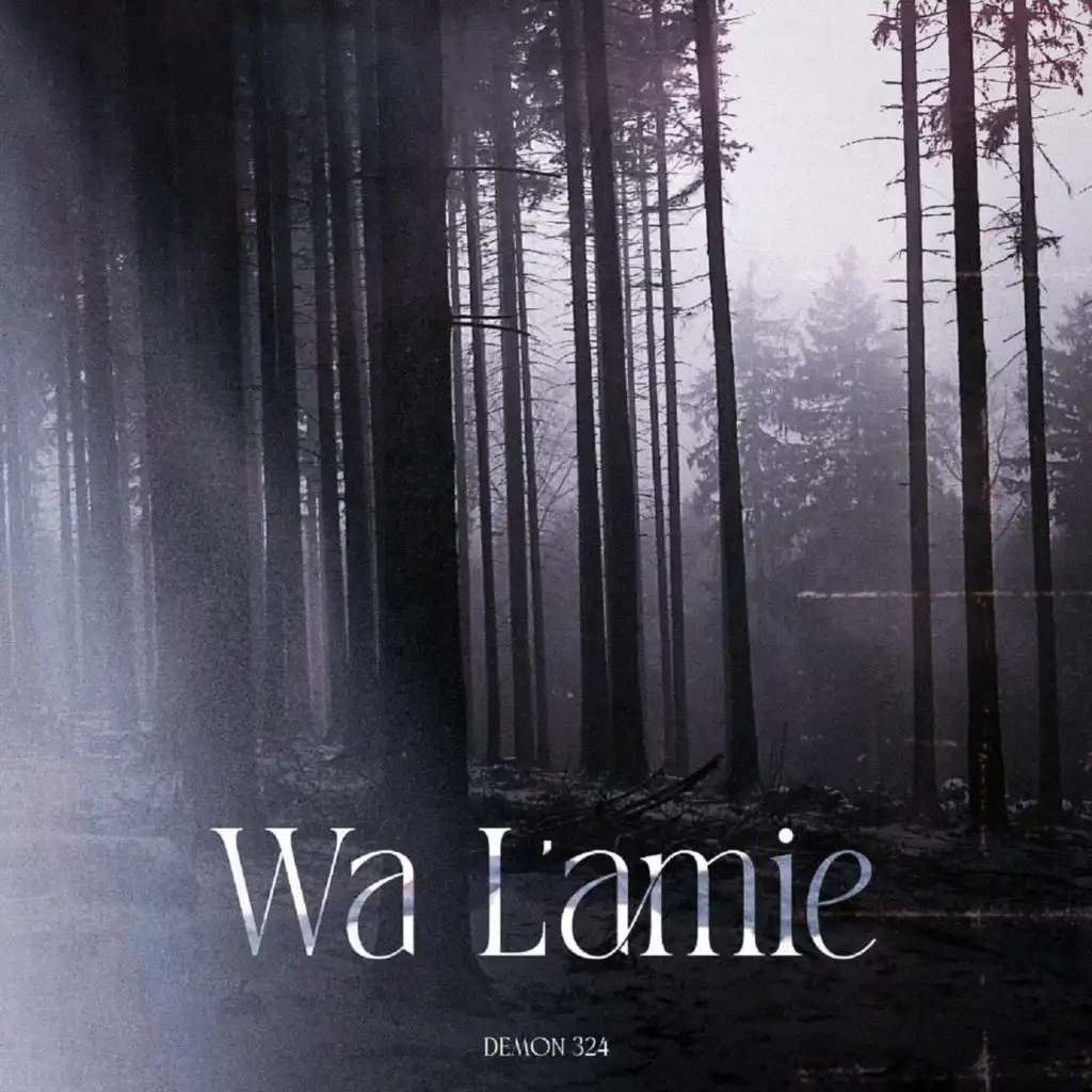 Wa l'amie