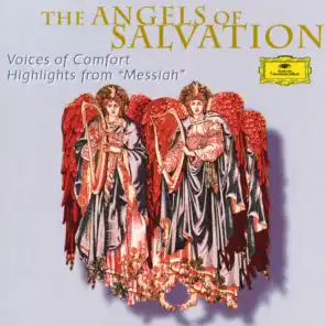 The Angels of Salvation - Voices of Comfort