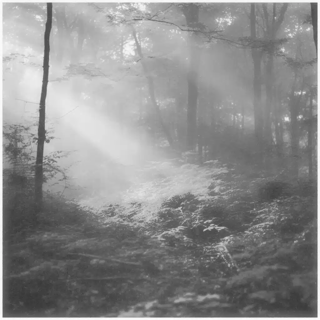 Hiraeth (Rework) [feat. Kevin Kuh]