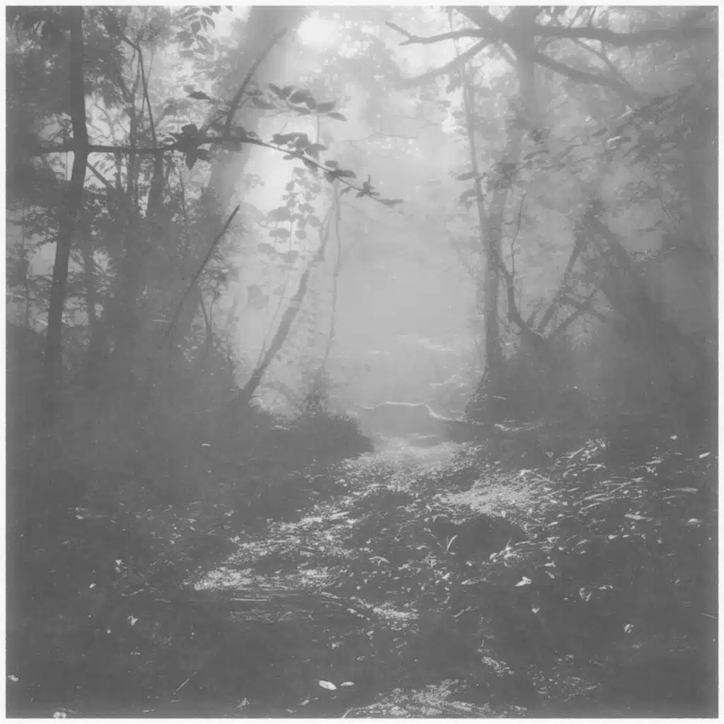 Little Love (Rework) [feat. Kevin Kuh]