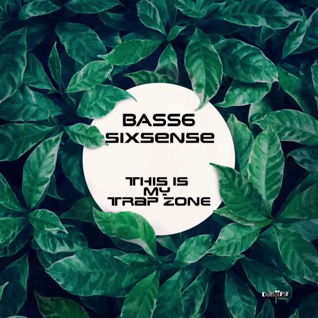 Bass6 & Sixsense