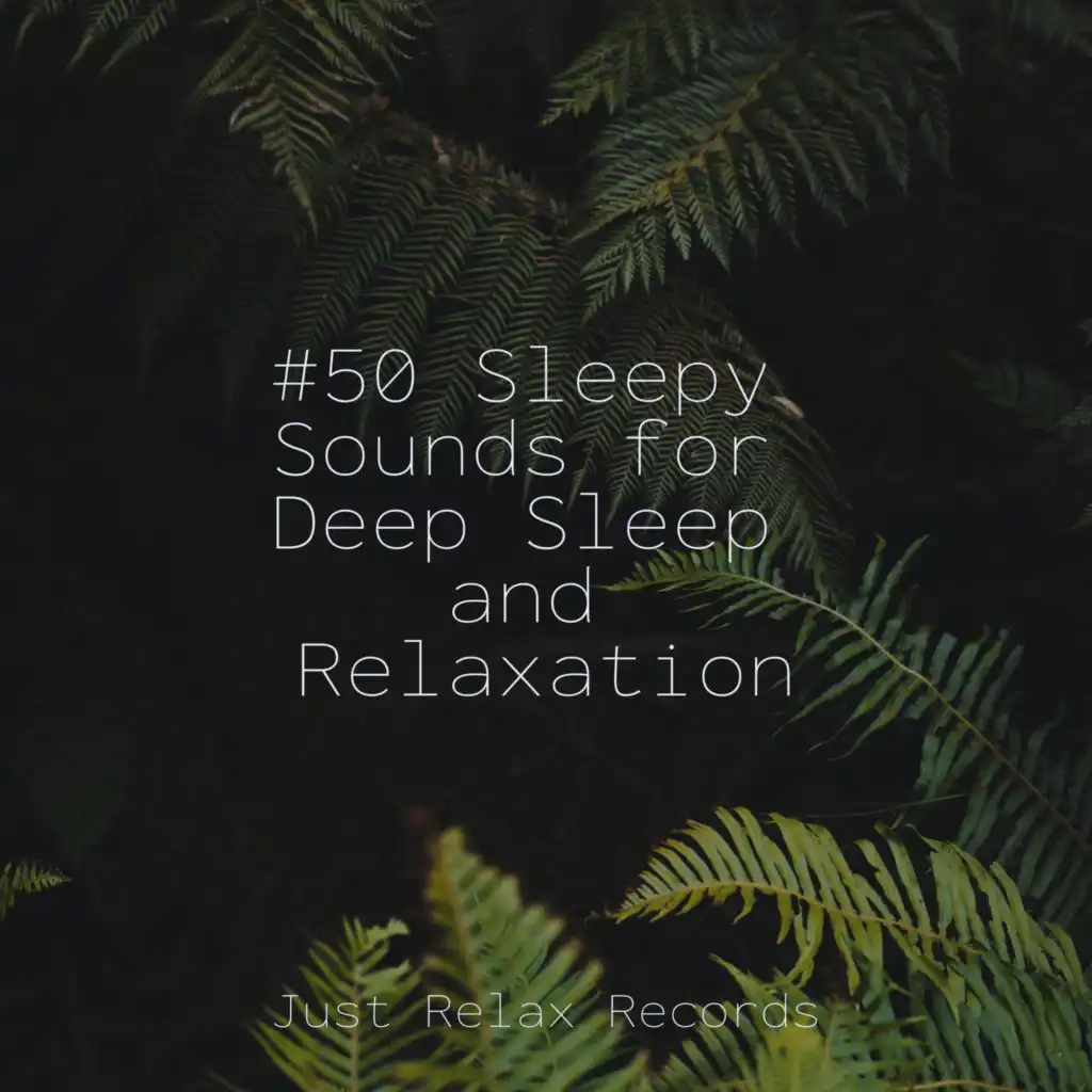 #50 Sleepy Sounds for Deep Sleep and Relaxation