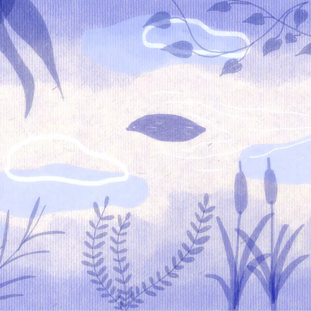leaves on a stream
