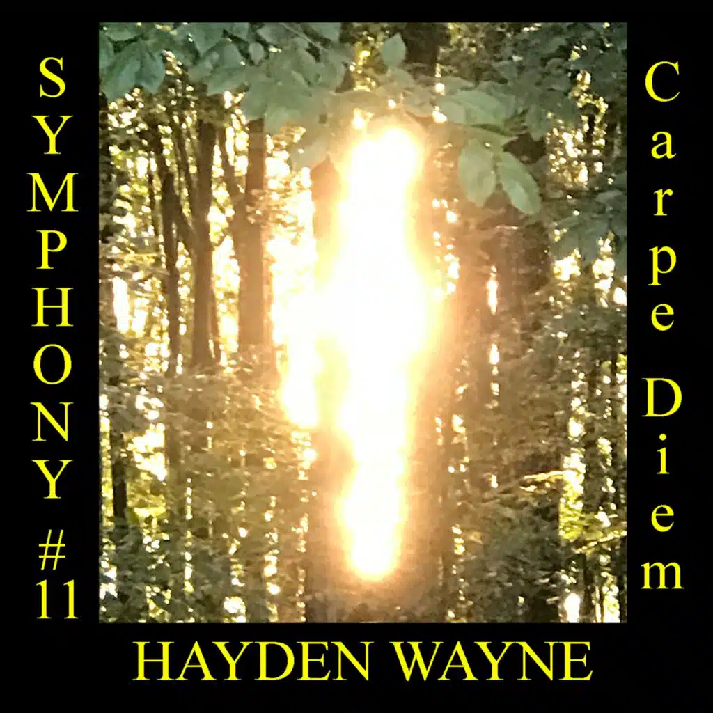 Symphony #11-Carpe Diem-2nd movement-Adagio