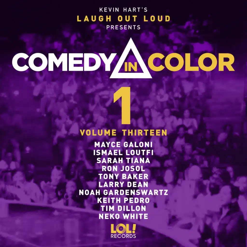 Comedy in Color, Vol. 13