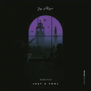 Just a Fool (Remixes)