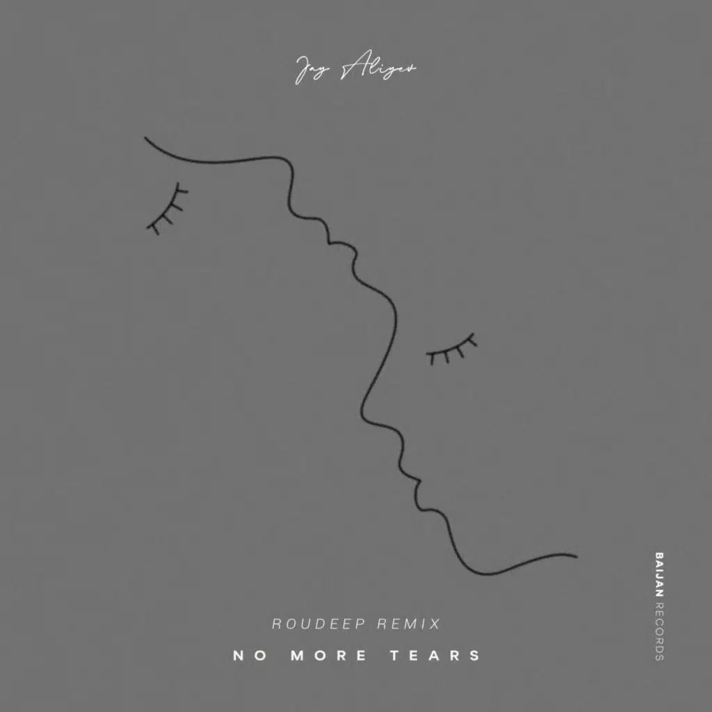 No More Tears (feat. Roudeep)